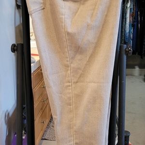 Bandolino jeans 12P.